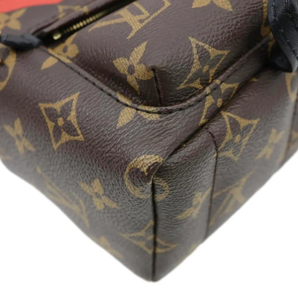 Louis Vuitton  Palm Spring World Tour Monogram Canvas Backpack Brown - Picture 6 of 14